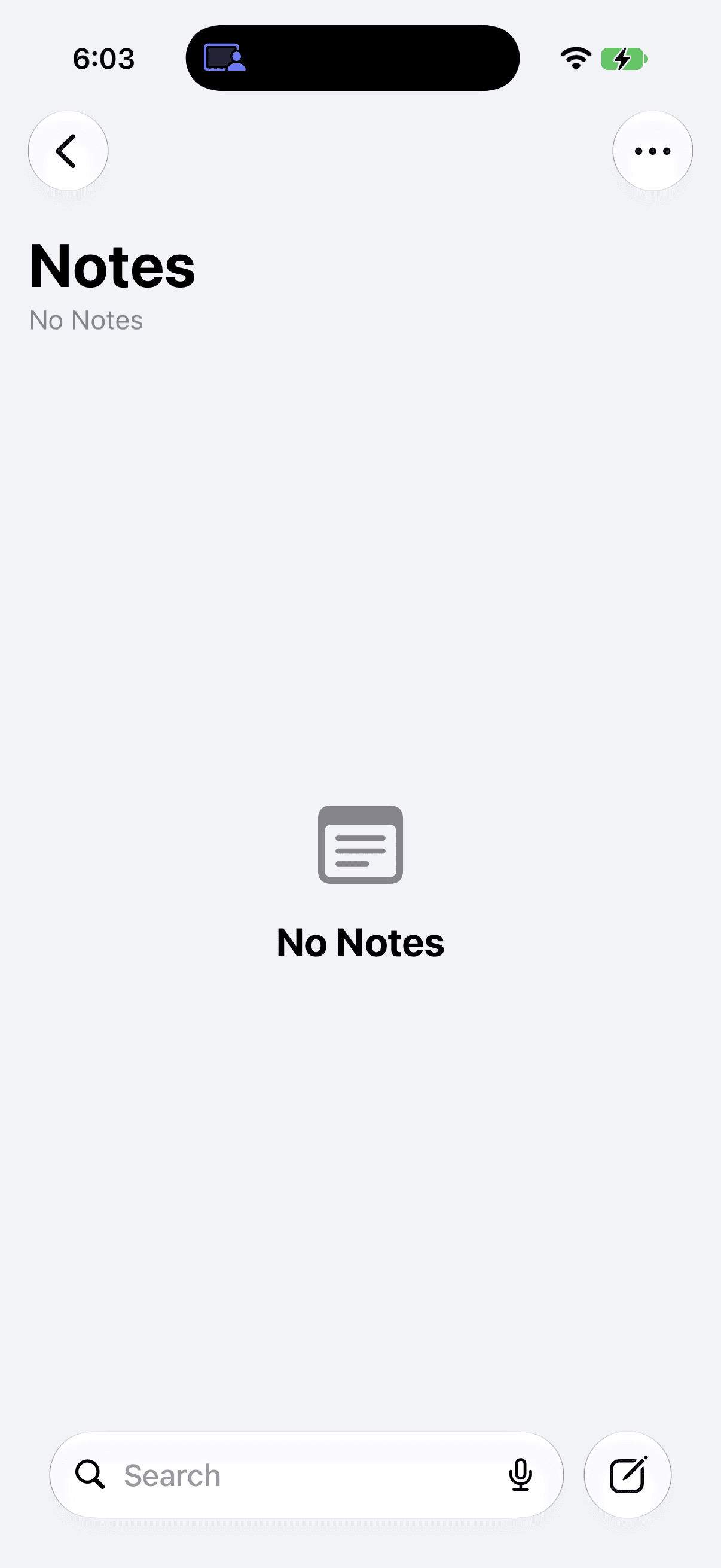 Apple Notes on iPhone showing the Notes list and Search field