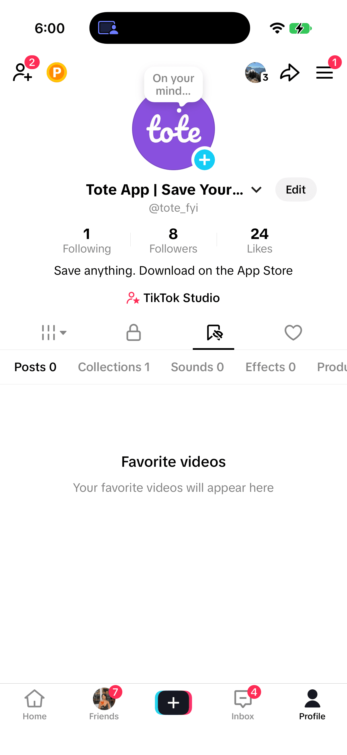 TikTok Favorites on iPhone showing Posts, Collections, Sounds, Effects, and Products